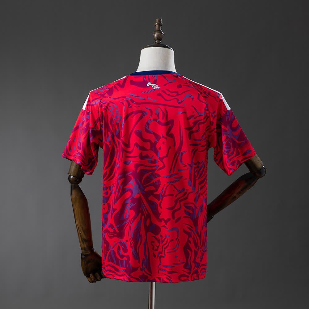 Camiseta Selección Costa Rica 2026 | Local